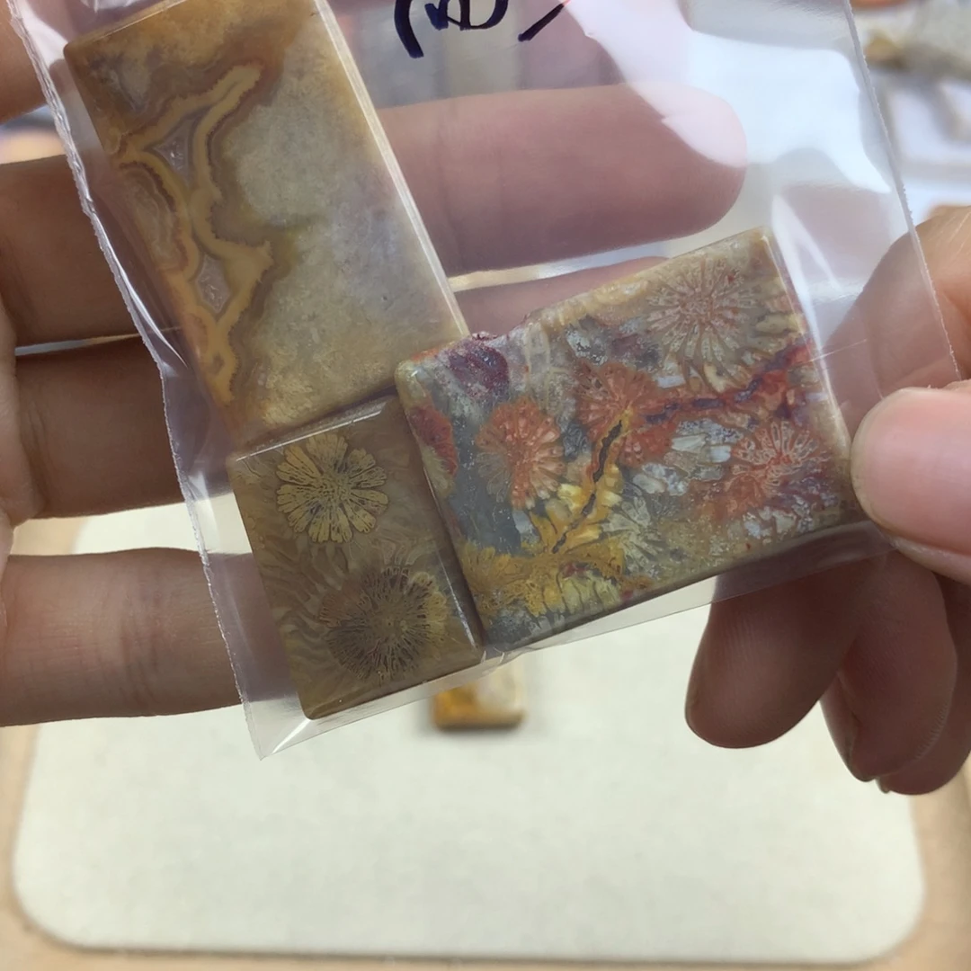 向****硅化珊瑚（珊瑚玉）未镶嵌颈饰