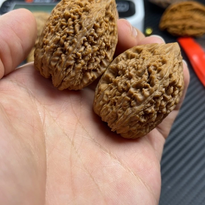 用***7文玩核桃把件34x41全品大蒜头