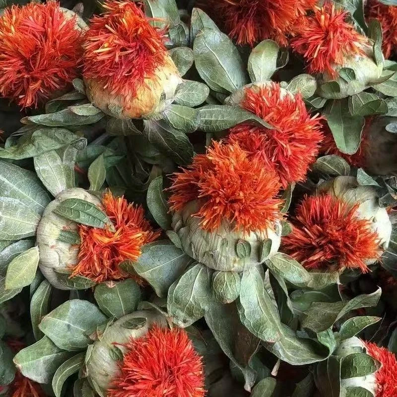高山干货帝王花泡水500克