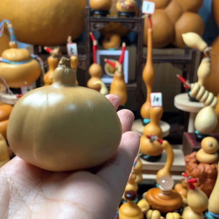 飞***鹤还好没有时间观念上看起来