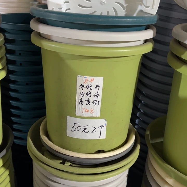 微瑕8#口径39无托果绿3个