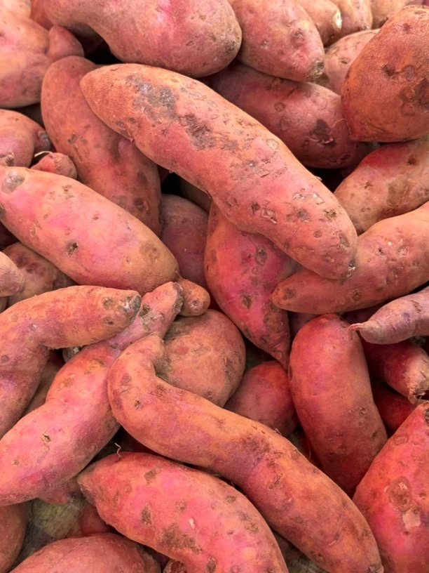 【滇缅源头山货】红薯