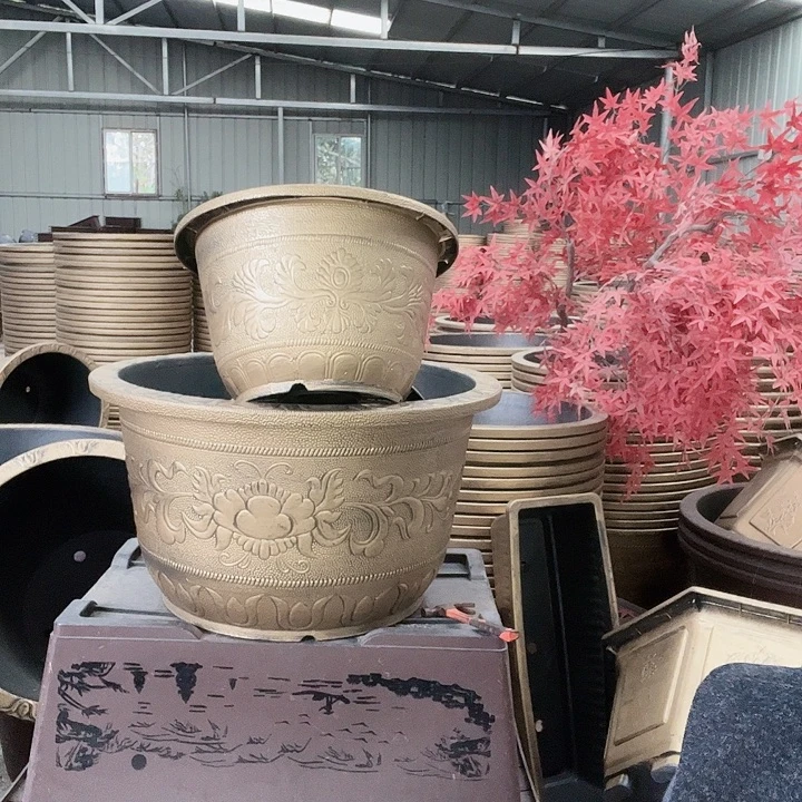 圆60一个有孔金色的