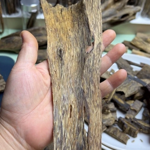 沉香碎屑沉香棋楠如何皮油13克