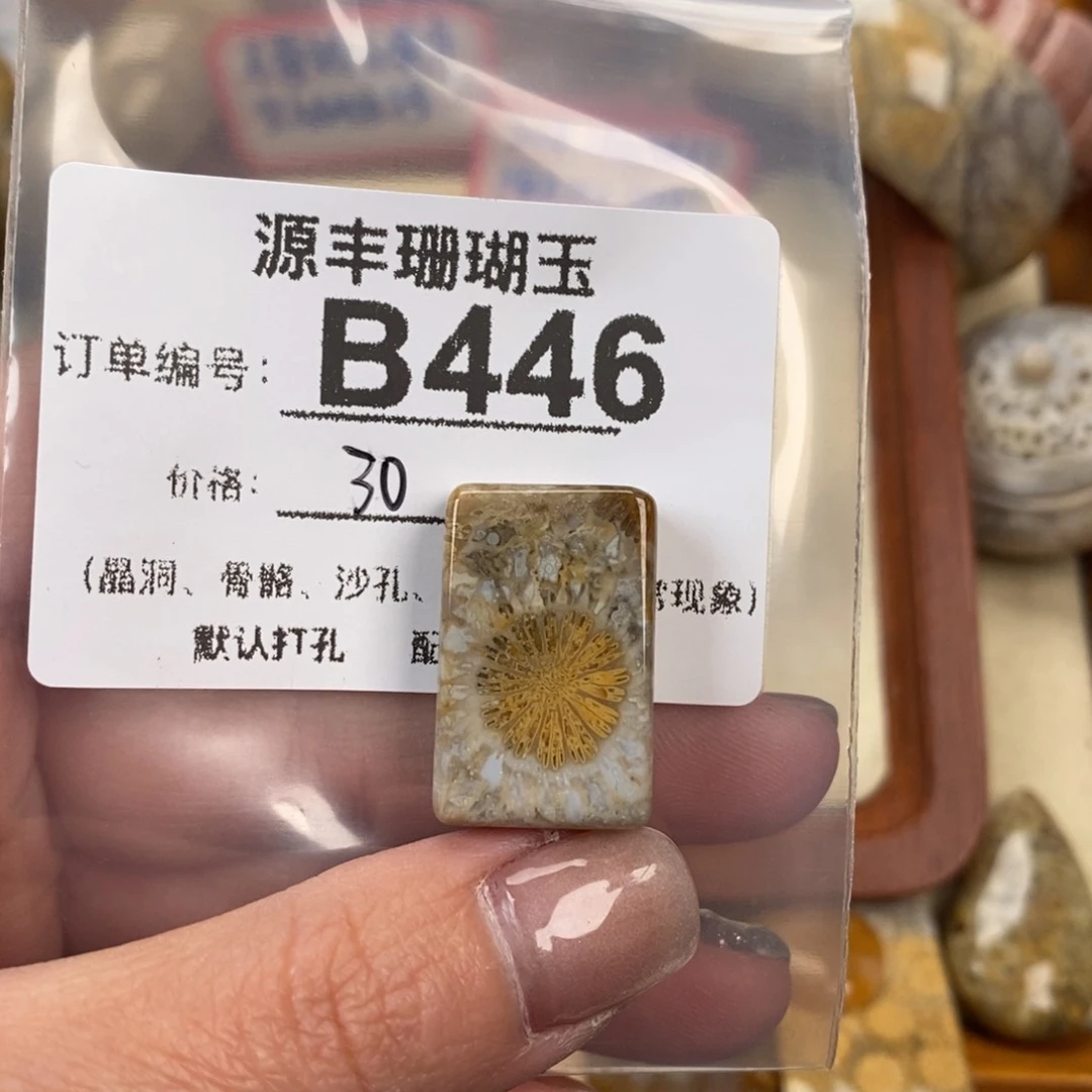 硅化玉颈饰未镶嵌君*愁
