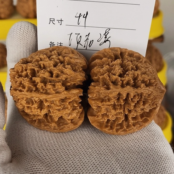 k1130毕业满天星狮子头尺寸44