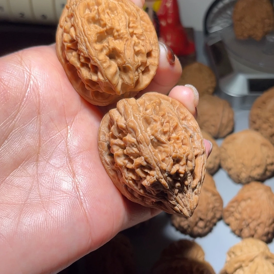 ༺***༻木质类大沽石40全品