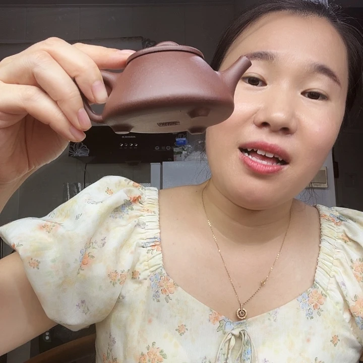 茶壶紫砂原矿半手工紫泥平盖石瓢130cc