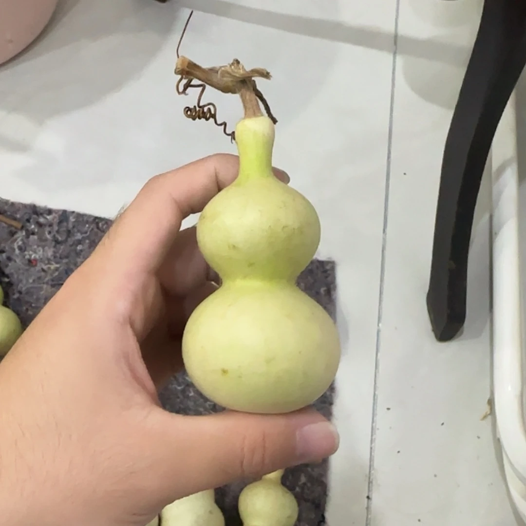 伯***1葫芦dnsjsnsnsnsnsnssn