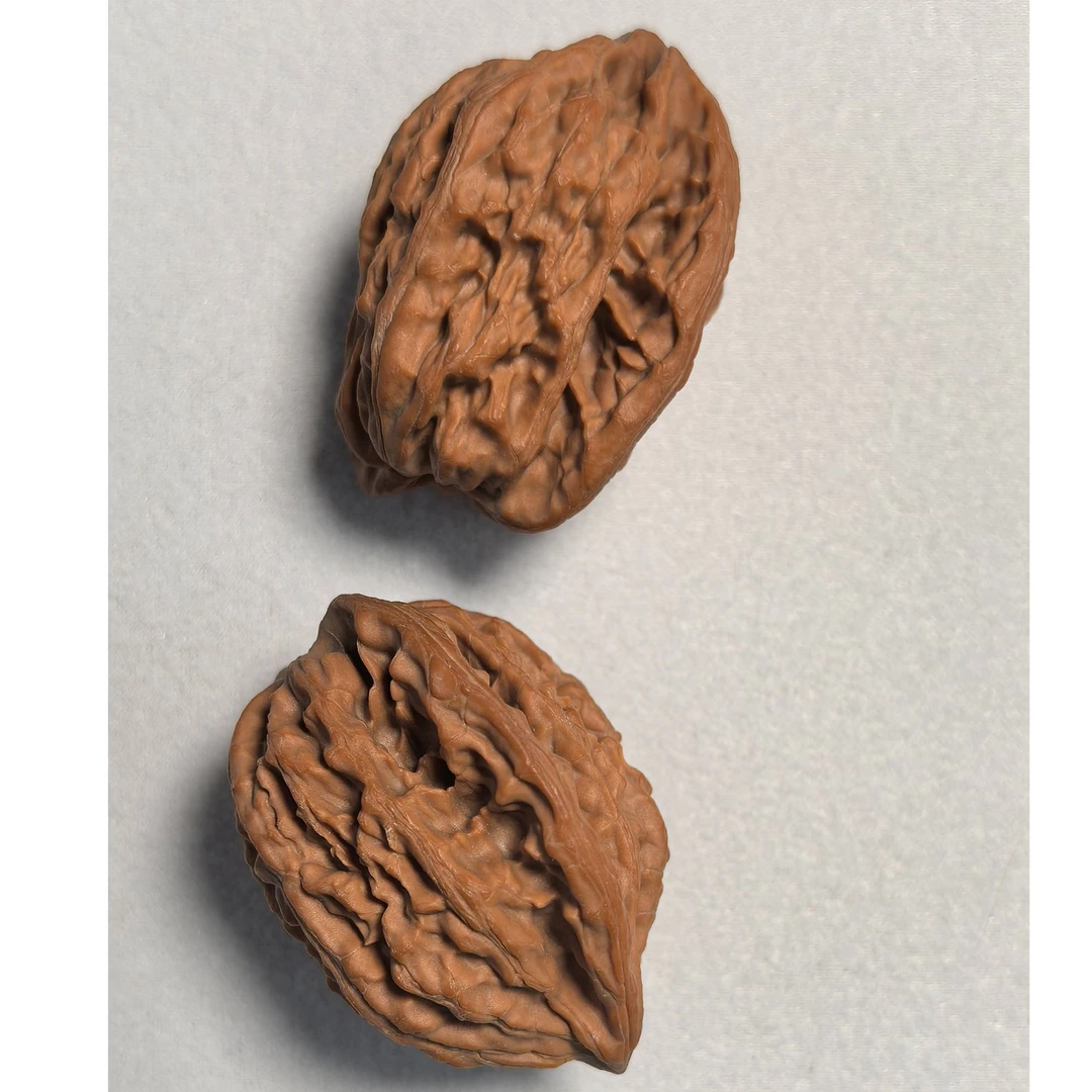 孤品-道哥俱乐部文玩核桃摆件(全品)