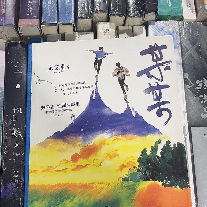 某某全新全套三本带周边未删减
