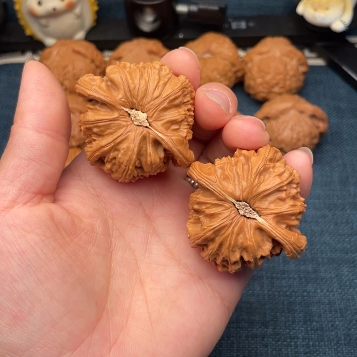 把件文玩核桃45尺红皮大白狮子