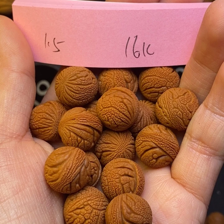 吊坠桃核秦岭龙纹桃核1