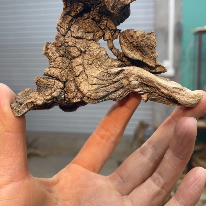 岁****…我们都是好孩子呀