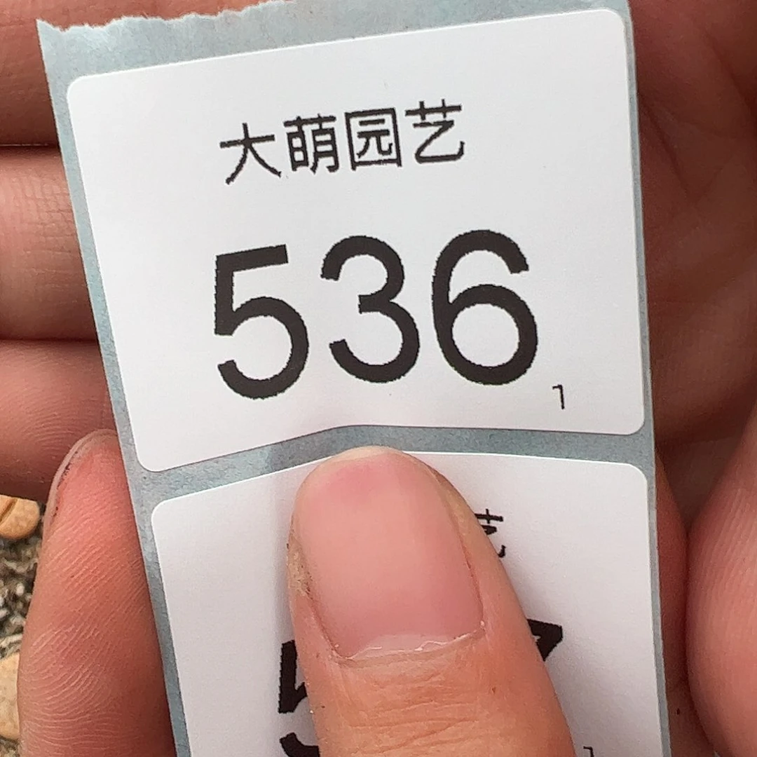 奶****?0000536一物一拍……