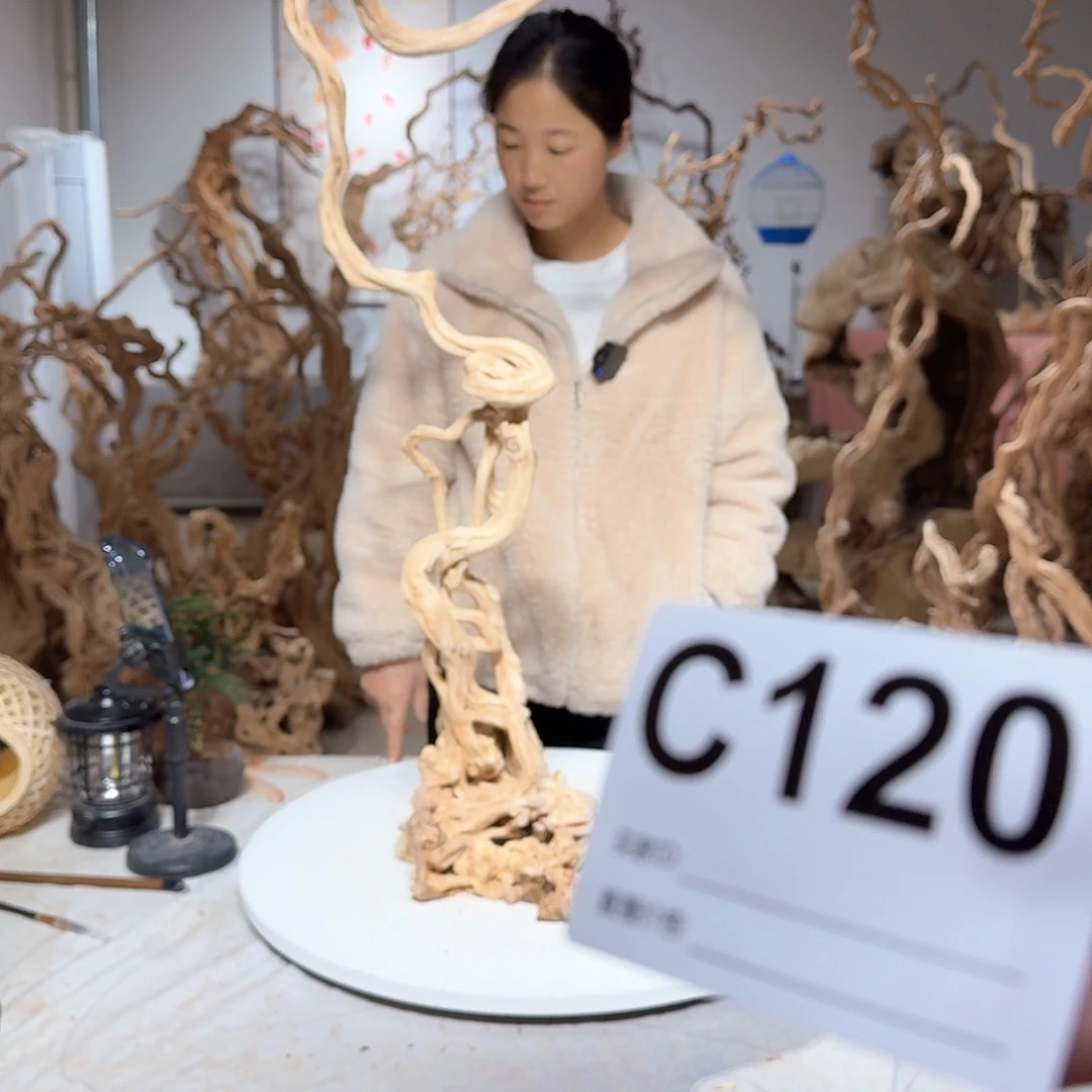 风车木（黑檀木）冷****5