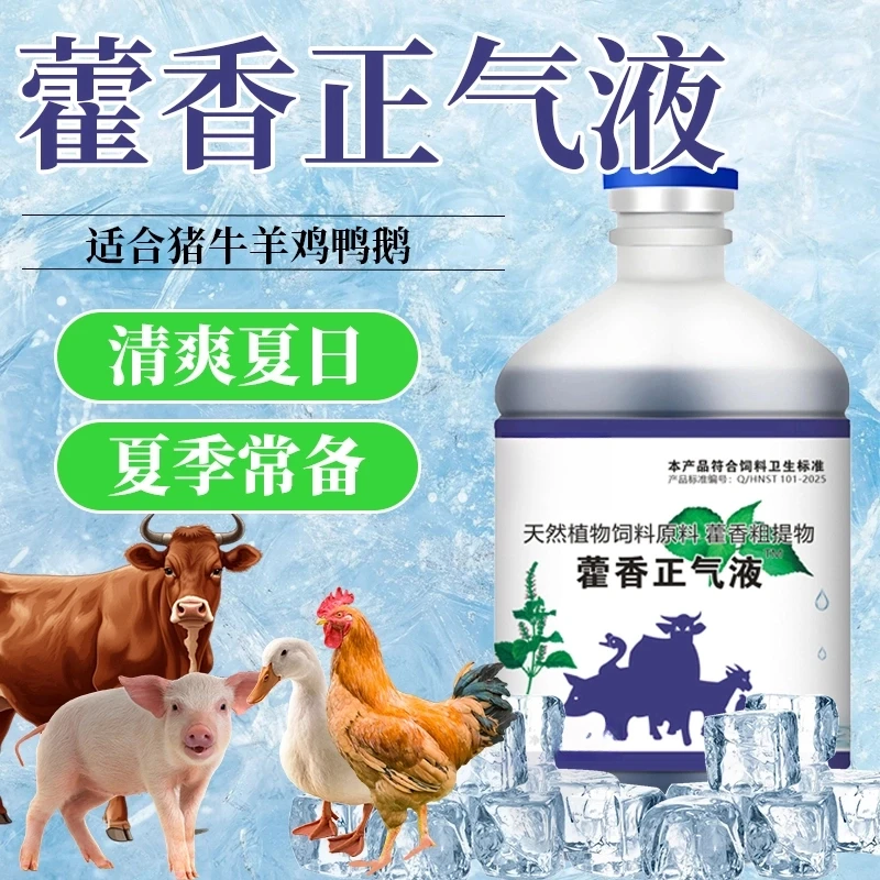 藿香正气液鸡鸭鹅鸽猪牛羊通用家禽夏日冰爽VC兽用饲料添加剂