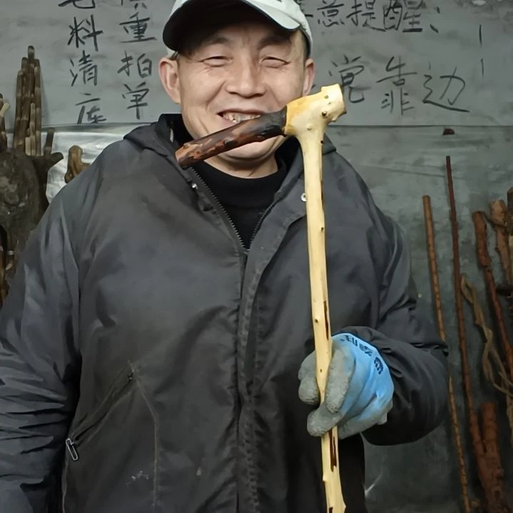 稳定木江**晚贵州檬子木   铁马鞭   根艺  半成品