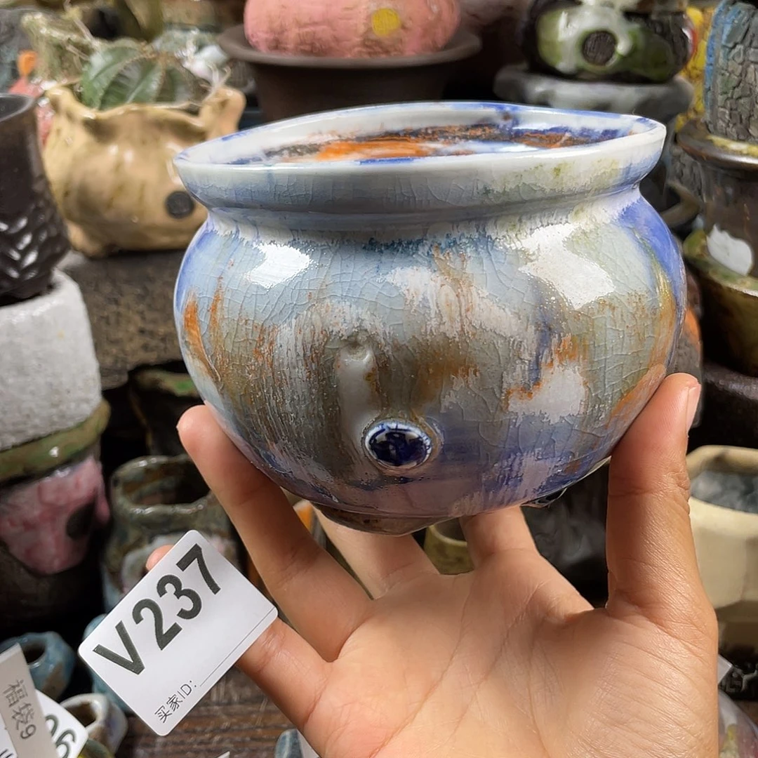 默认微次  限时福利 坛子姐花盆