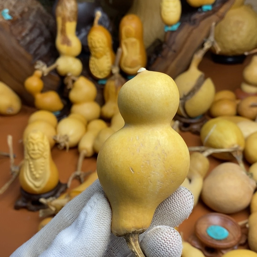 聆***月教练咯教练咯教练咯