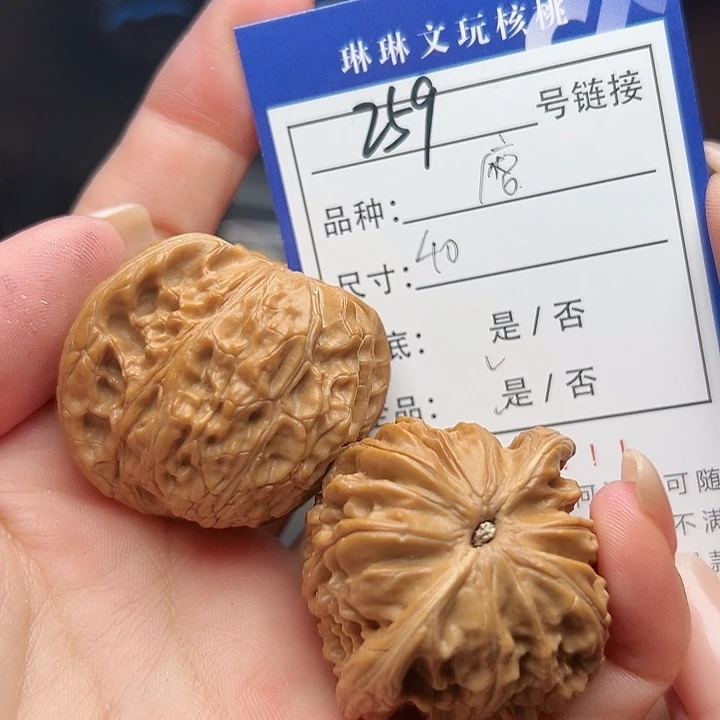 文玩核桃吊坠核桃树259