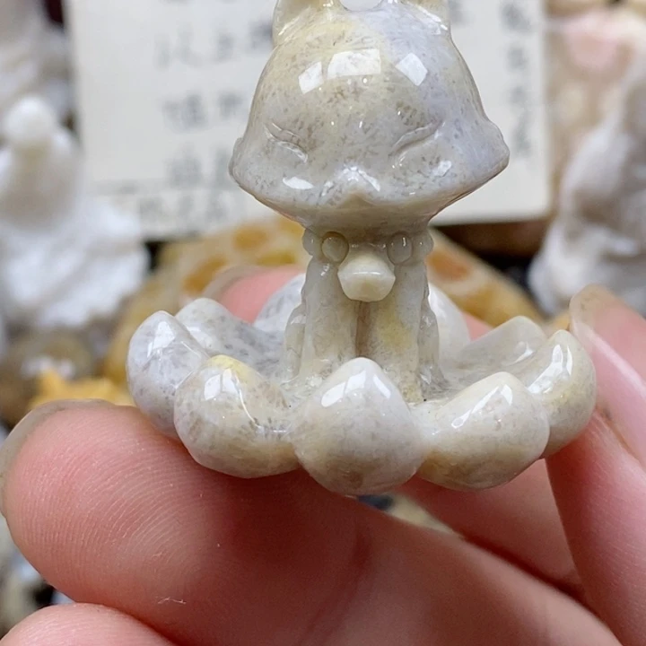 颈饰未镶嵌硅化珊瑚（珊瑚玉）