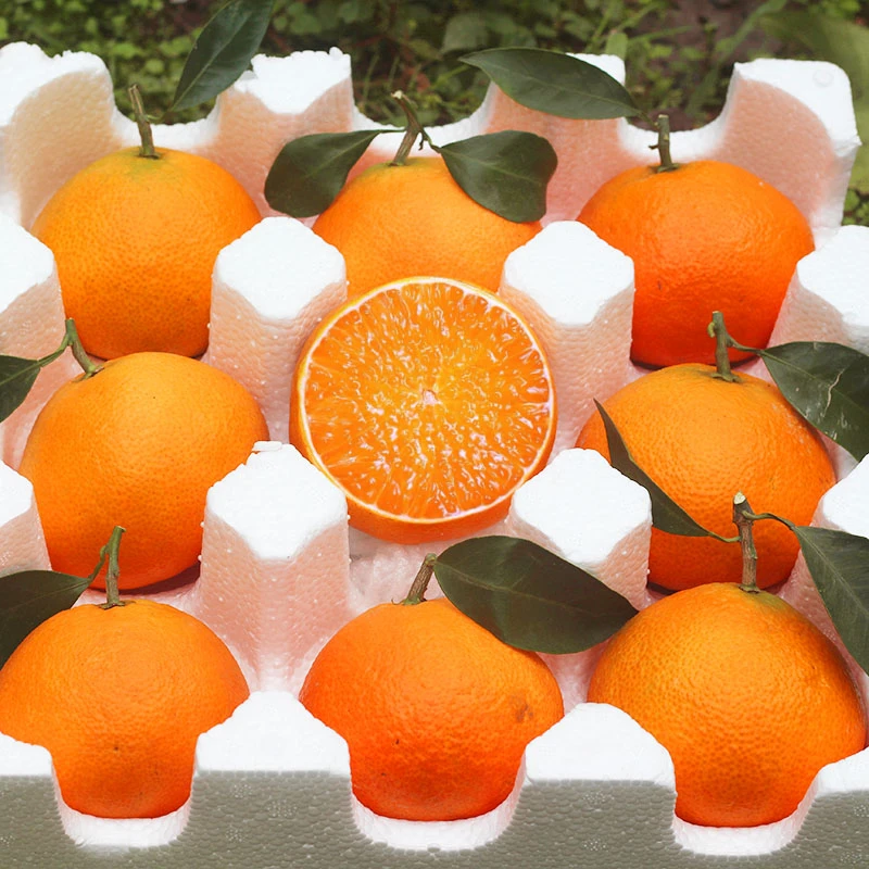【头茬鲜果】正宗四川爱媛38号果冻橙新鲜应季水果头茬果鲜果hfx