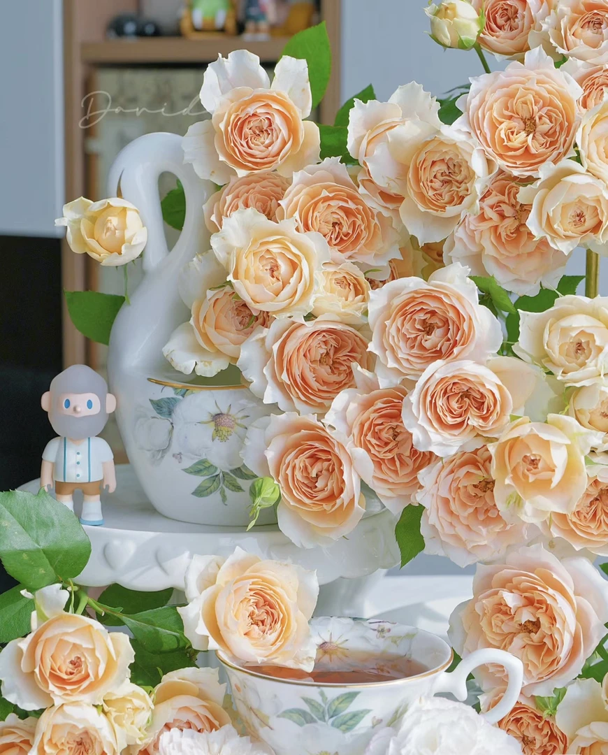 杏色拉拉队多头玫瑰10支 已发货不支持退款换货