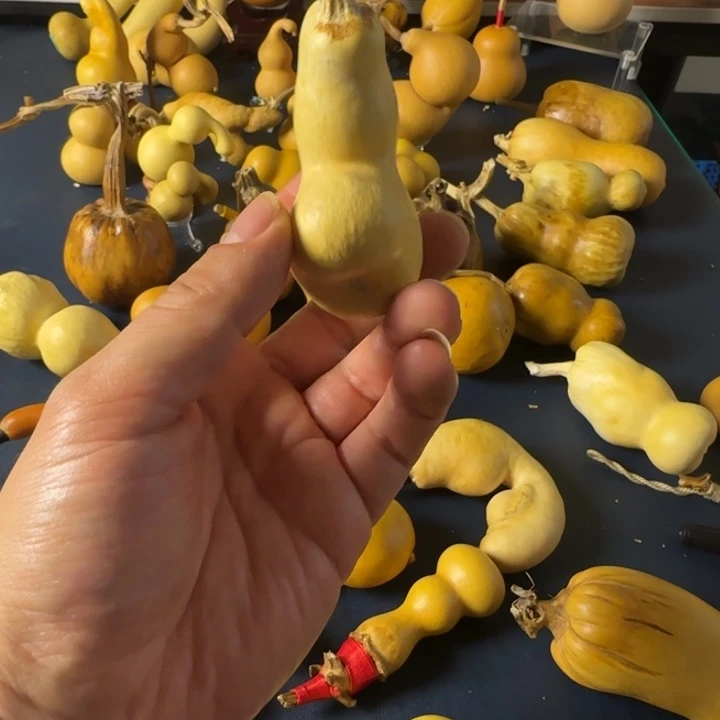 悟***6大哥就斤斤计较红红火火吧