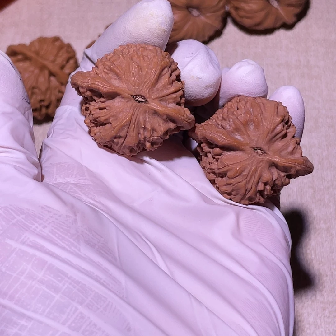 【闪购商品】36七步沟公子帽