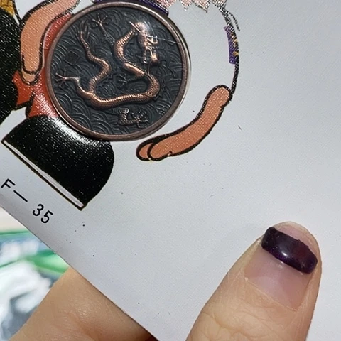 其他普通金属88年龙纪念章