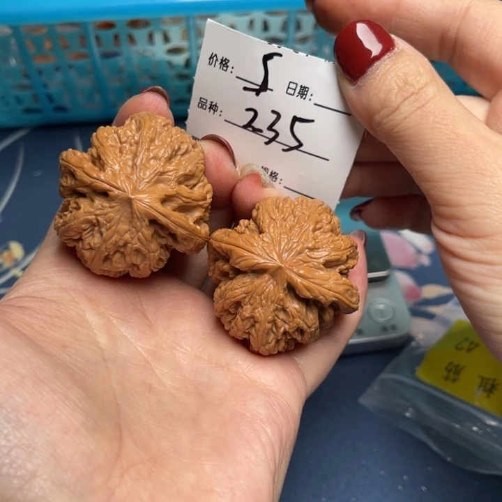 文玩核桃把件粗筋42