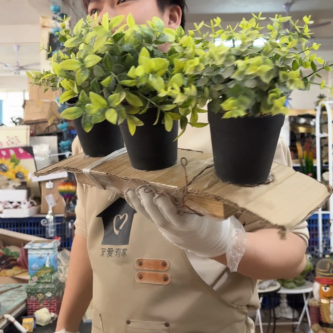 核桃木/黑胡桃（胡桃木）