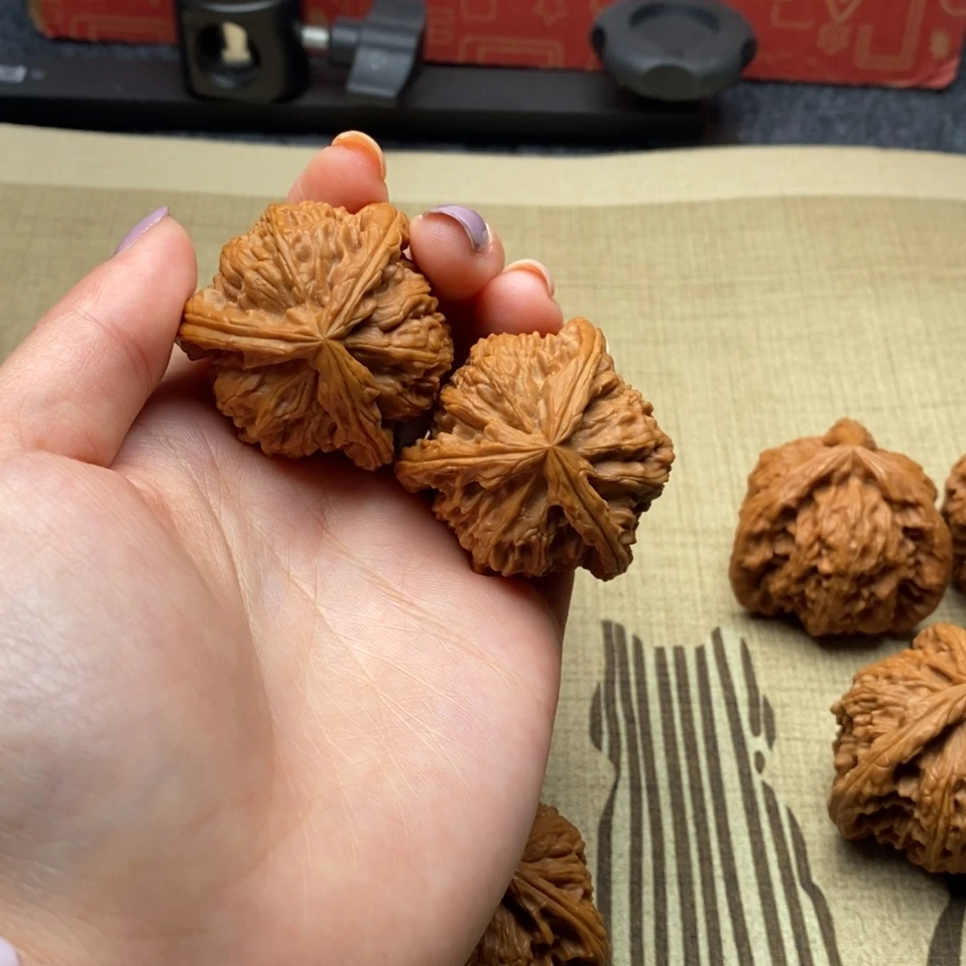 山*?白狮子11111111111