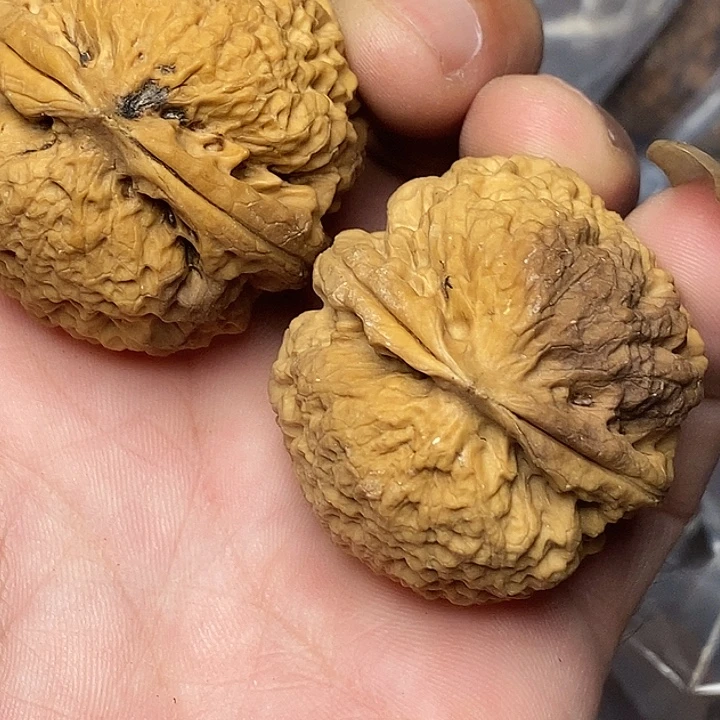 文玩核桃把件云南铁核桃37