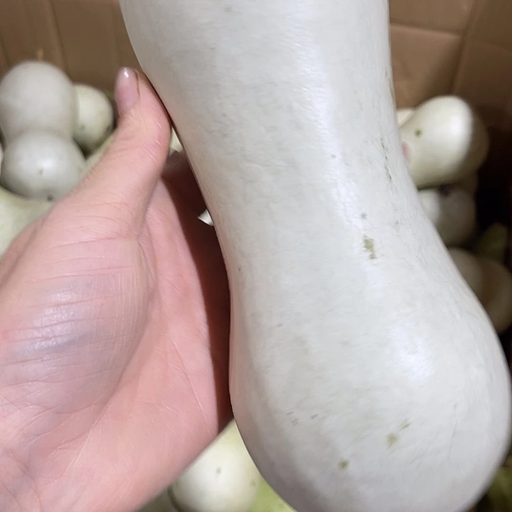 大果紫檀（缅甸花梨）糊****）