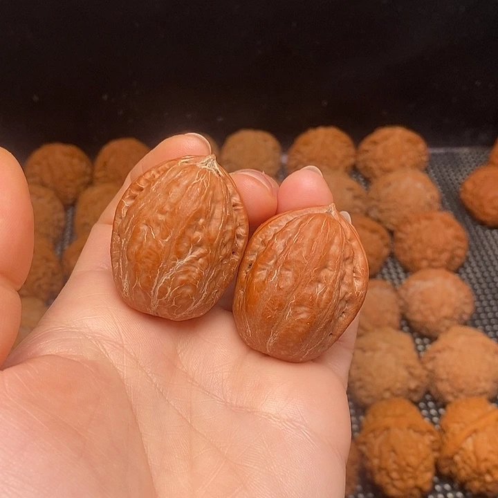 文玩核桃把件?****?碧根果32
