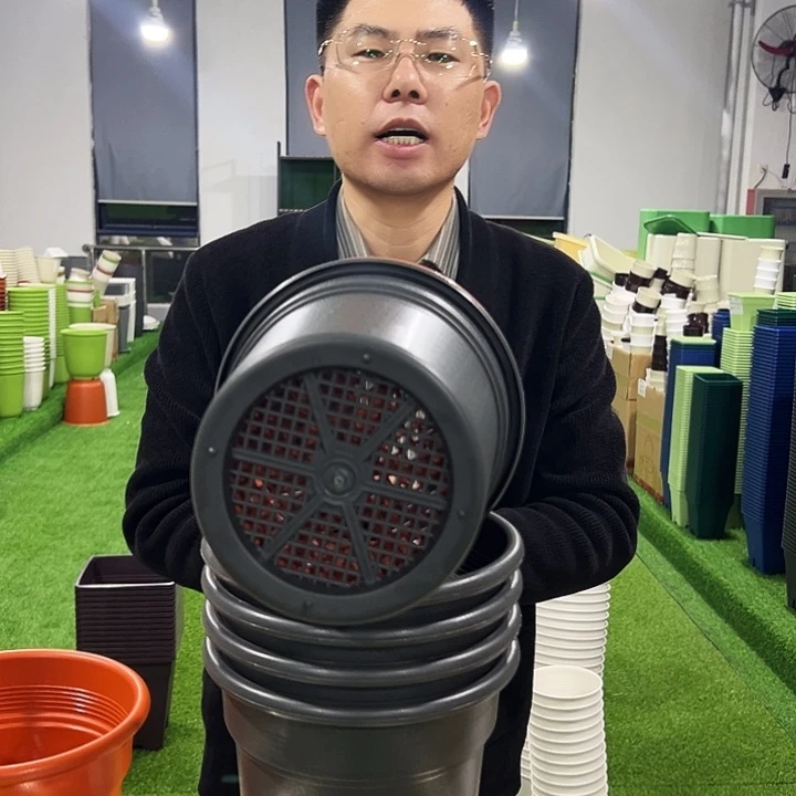 特价翻边口20高22混色6只无托