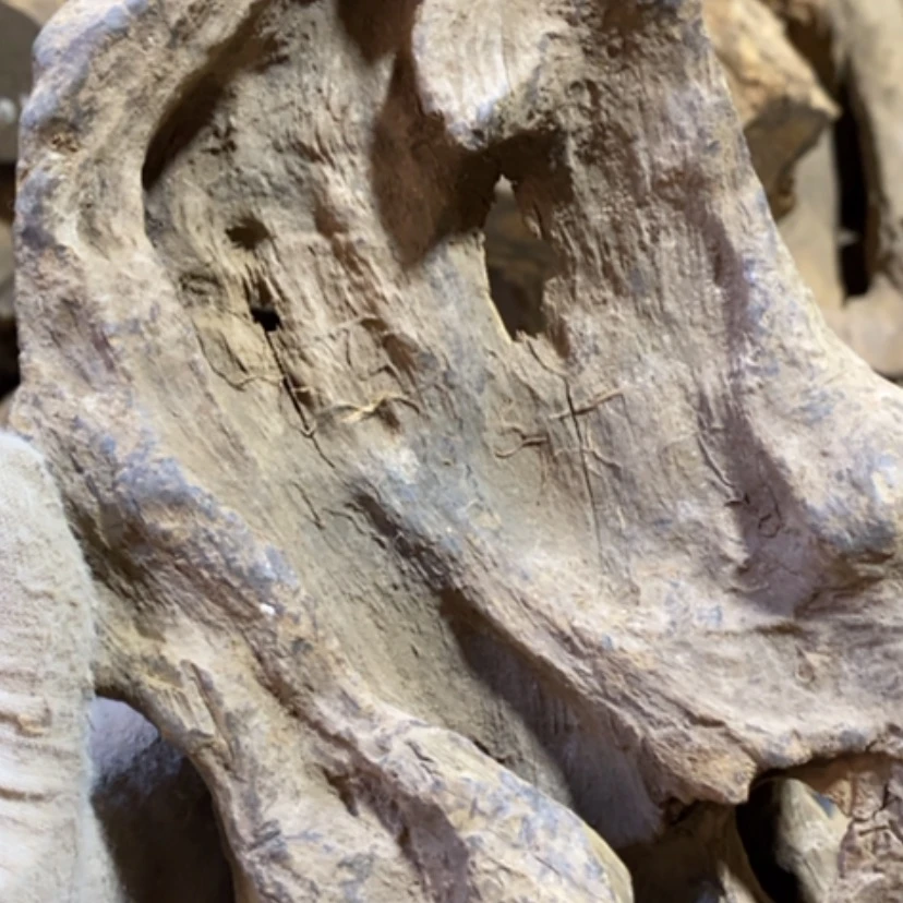 【闪购商品】贡木把件慧**源定制1236889009896