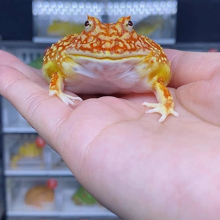 特价秒杀现货特价残