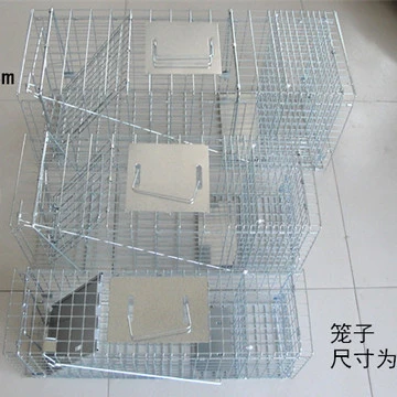 人道式救助自动捕猫笼 捉猫笼 流浪猫救助寻猫神器抓猫笼小区超市