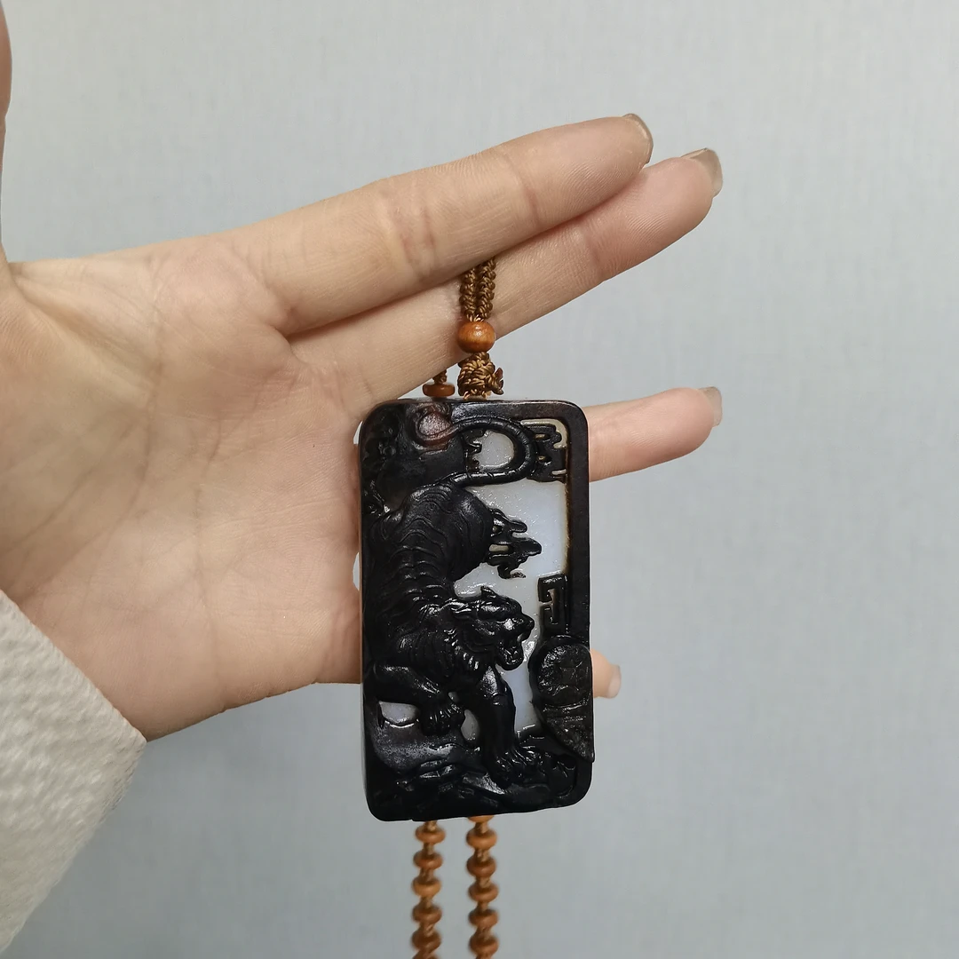 石包多样性拍一发一11月24日 A7