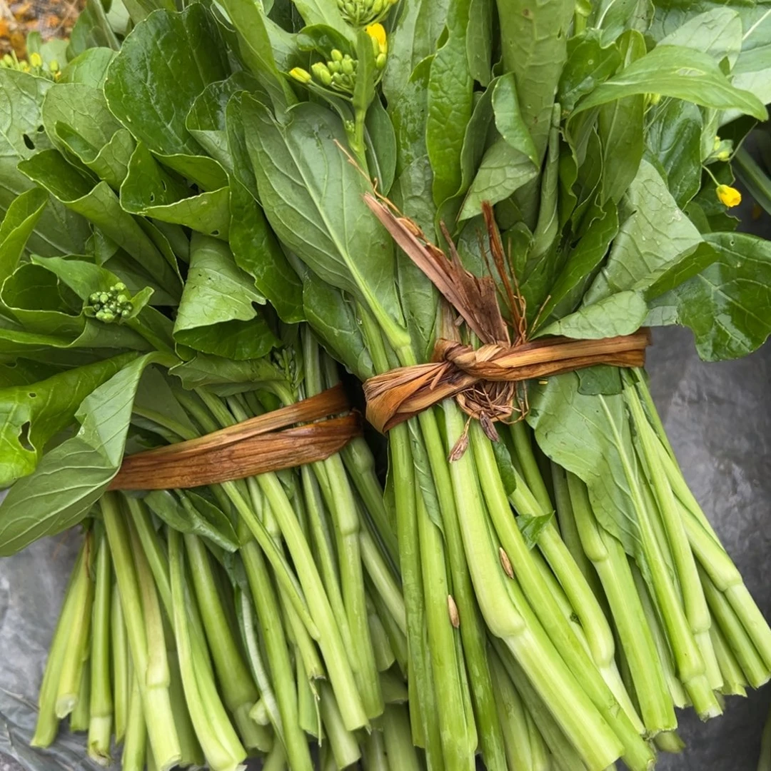 三都菜心三把代购