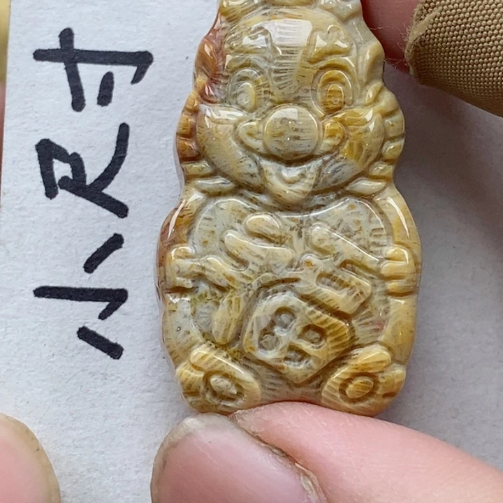 颈饰未镶嵌硅化珊瑚（珊瑚玉）
