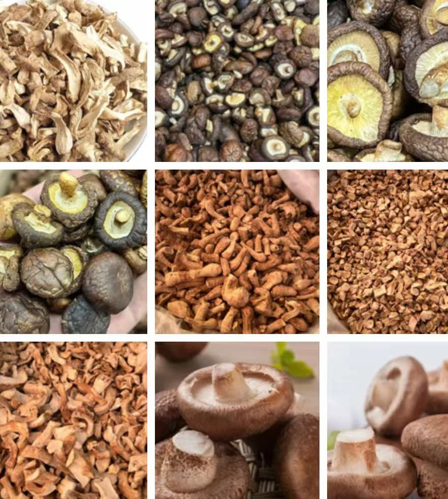 云南优质特产  香菇 A002