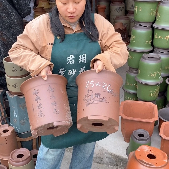 紫砂花盆盆栽花卉苗木种植