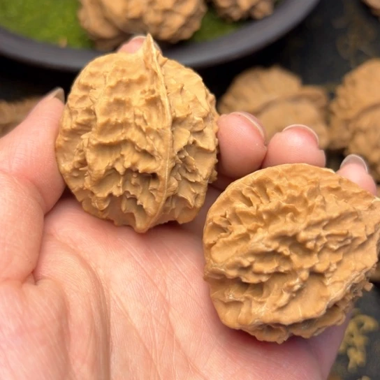 文玩核桃吊坠秦岭核桃9