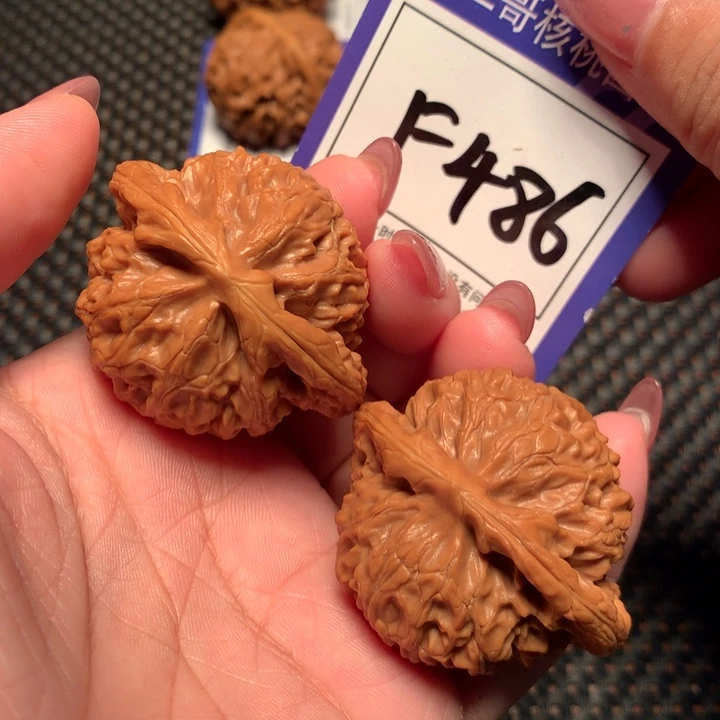 桃核吊坠486号灯44