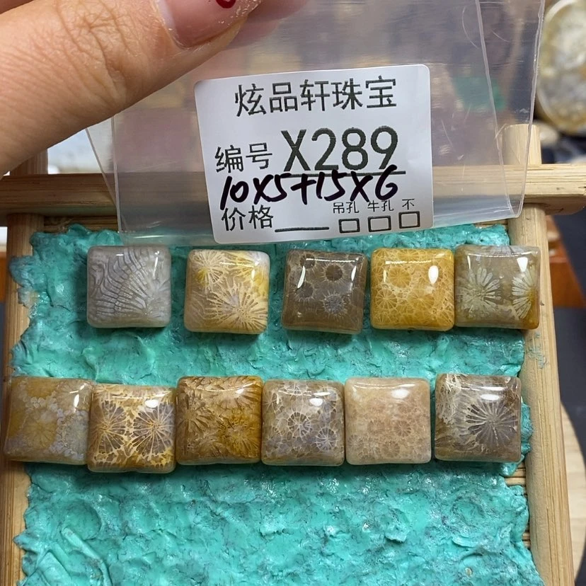 【闪购商品】硅化珊瑚（珊瑚玉）颈饰未镶嵌卿*k 289