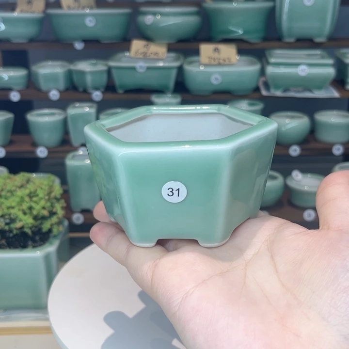 盆心缘小花盆口9高5